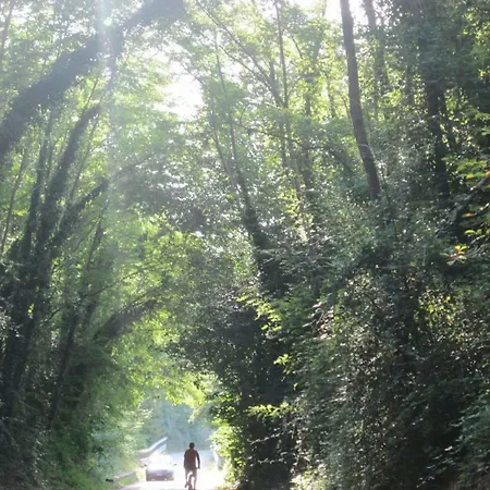 Del Salto * Fiumata